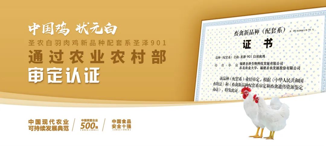 pg麻将胡了(PG)官方网站 - 正版试玩平台