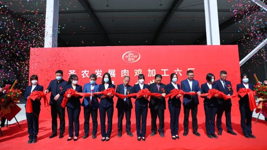 20220413093052 pg麻将胡了(PG)官方网站 - 正版试玩平台
